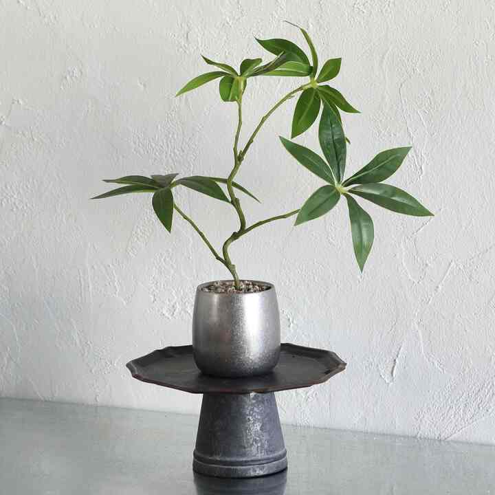 パキラ 造花&植木鉢セット[2サイズ]