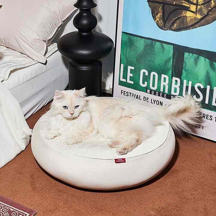 【新品?未使用】 犬 ハウス ベッド 室内用 クッション 天然木 小型 猫 ドッグ キャット ペット 小屋 インスタ 映え 北欧 シンプル ナチュラ ペットインテリア通販｜インテリアになじむ、愛犬・愛猫の居場所【Ohouse（オーハウス）公式】