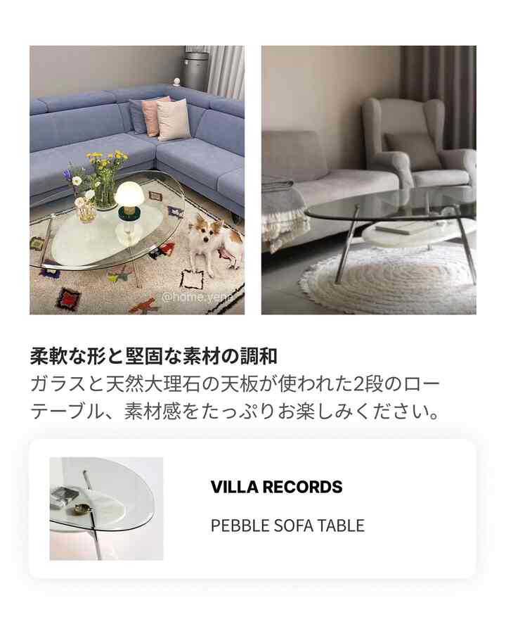 ブルーとベージュの色調のリビング、 大型ソファと透明なガラステーブル、犬とラグが配置された落ち着いた空間