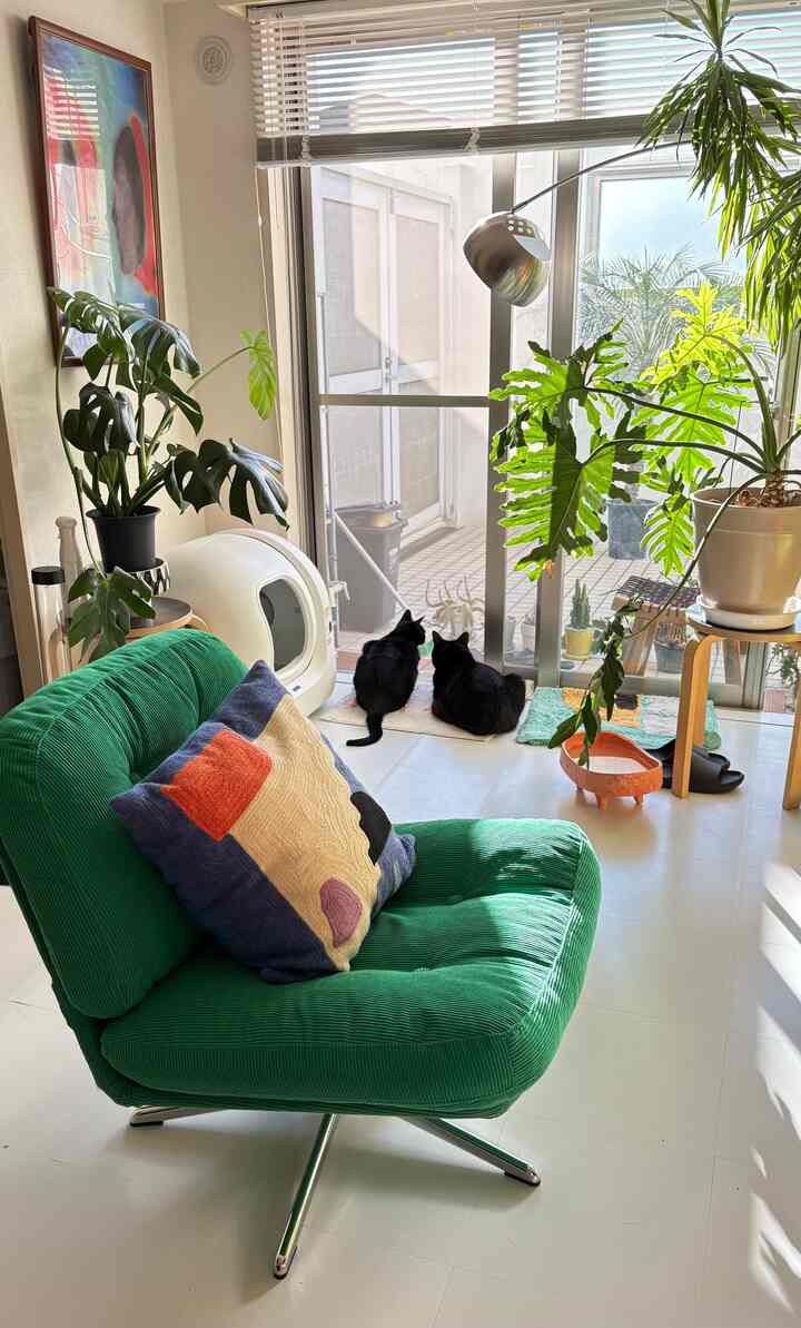 🇯🇵 1LDK｜庭を眺める猫と植物に囲まれた部屋