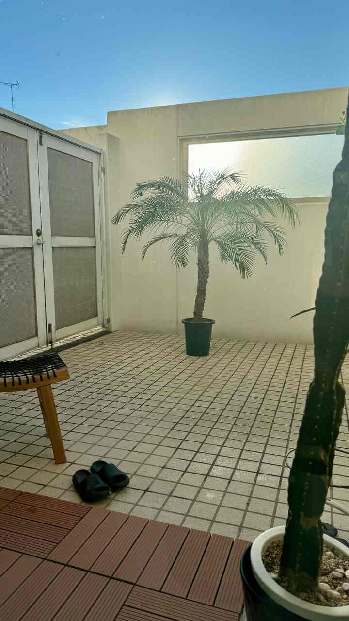 白い壁と茶色のウッド調の床、植物が配置された陽光あふれるバルコニーの雰囲気のある空間