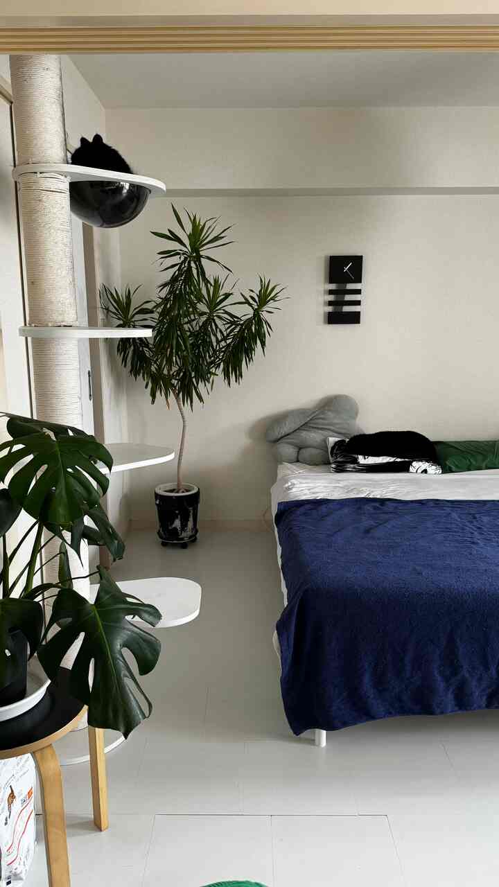 白とネイビーの色調の寝室、キャットタワーと植物が配置されたシンプルでモダンなインテリア