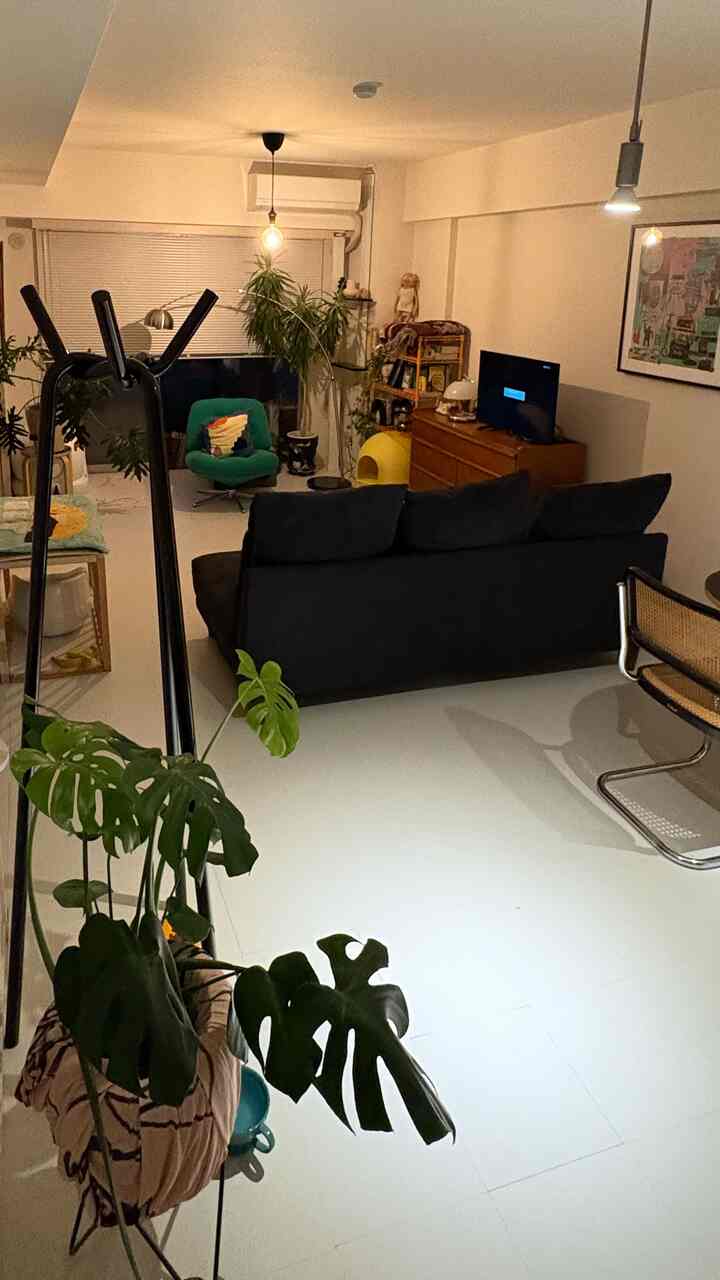 緑色のトーンのリビングルーム、中央に黒いソファと緑の椅子が配置され、植物が自然で落ち着いた雰囲気を演出しているインテリア