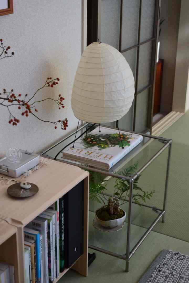 ナチュラルな色調のダイニングルーム、畳床の上にガラスのテーブルがあり、盆栽と本が置かれた落ち着いた空間