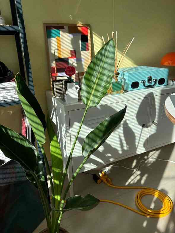 夕暮れの光が差し込むホワイトキャビネットと大きな緑の植物が配置された自然な寝室空間