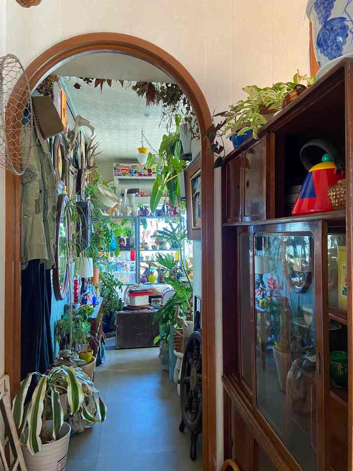 ウッド調のヴィンテージな廊下、たくさんの植物と収納アイデアが配置された雰囲気のある空間