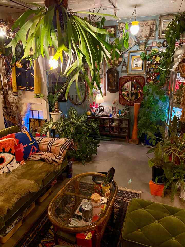 ナチュラルな雰囲気のリビング、豊富な観葉植物とオリーブグリーンのソファ、ヴィンテージアイテムが配された温かみのある空間