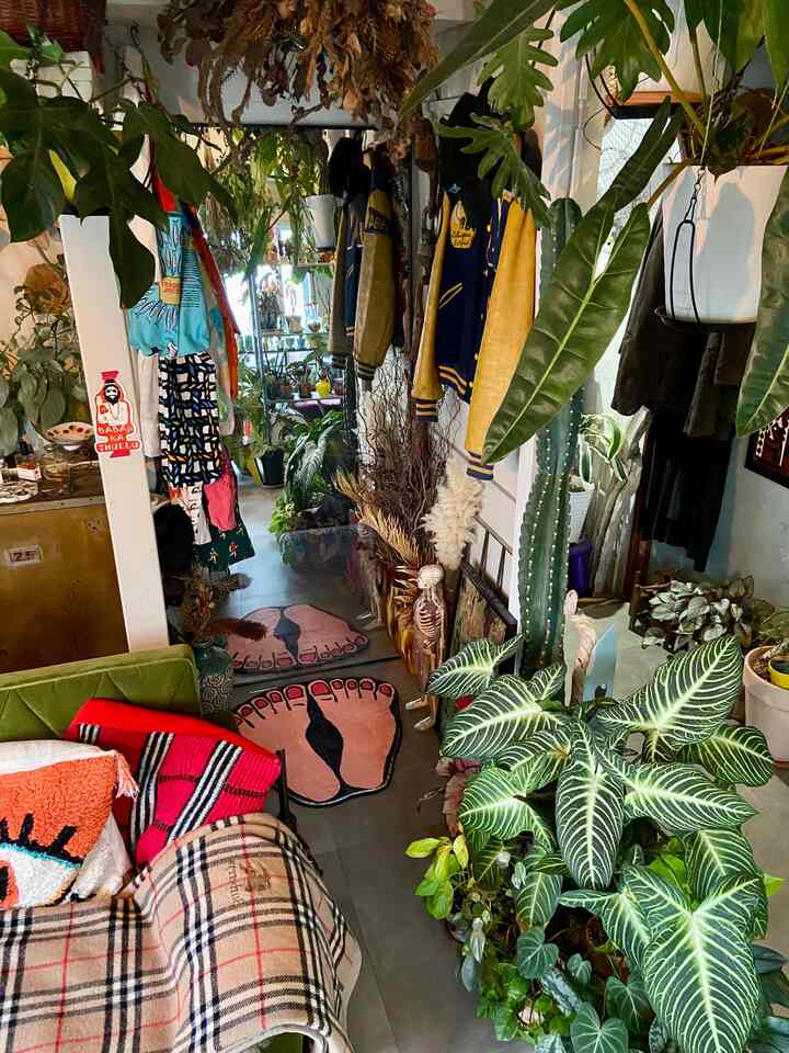 自然な色調で緑の植物とヴィンテージ風ラグが配置された狭くて縦長の印象的なドレスルーム