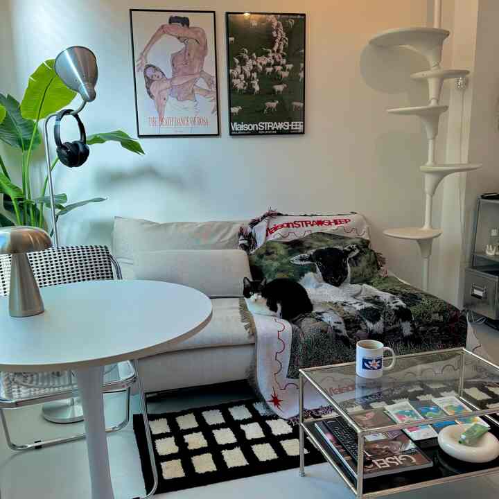 🇯🇵 2K｜猫と暮らすホワイトモダンな家🏠