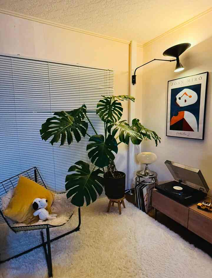 温かみのあるベージュ色調のリビング、モンステラの植物と黒のワイヤーアームチェアが配置された雰囲気のある空間