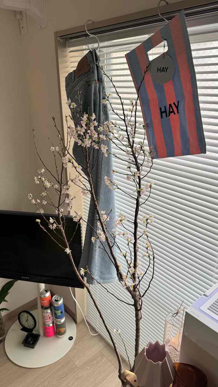 白いブラインドとベージュの壁のあるリビングの一角、植物と花瓶が配置されたナチュラルな雰囲気の空間