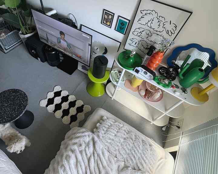 🇯🇵 1K｜モノクロにカラフルをひとさじ🥣私と犬のお部屋づくり