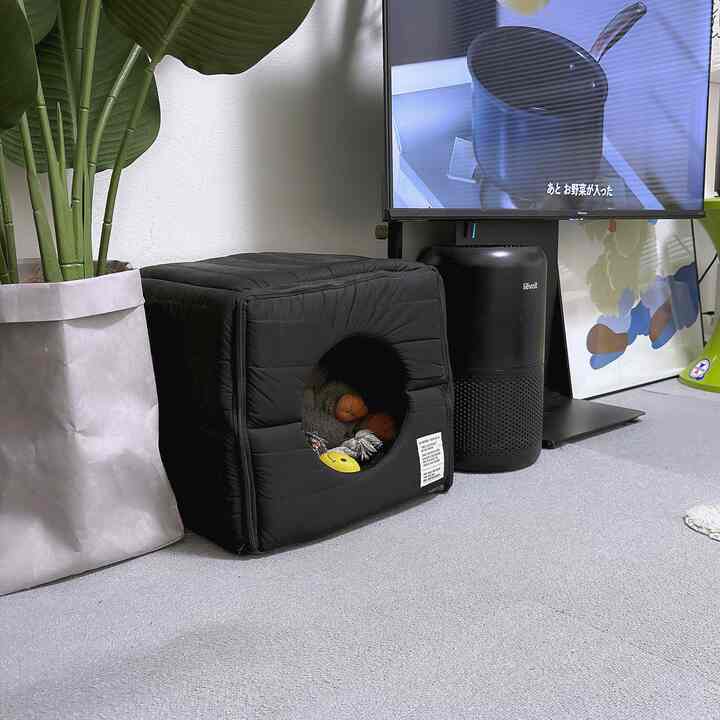 黒とグレーのトーンのリビング、床にある黒いペットハウスと空気清浄機が配置された雰囲気のある空間