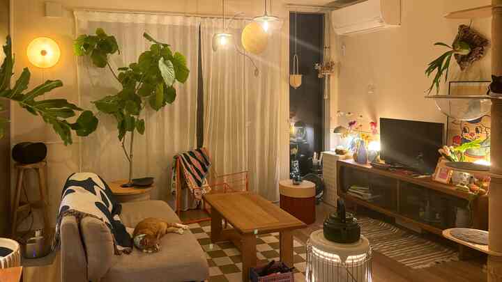 温かみのあるナチュラルカラーのダイニング、オレンジのアームチェアとソファ、観葉植物と柔らかな間接照明が配置された雰囲気のあるインテリア