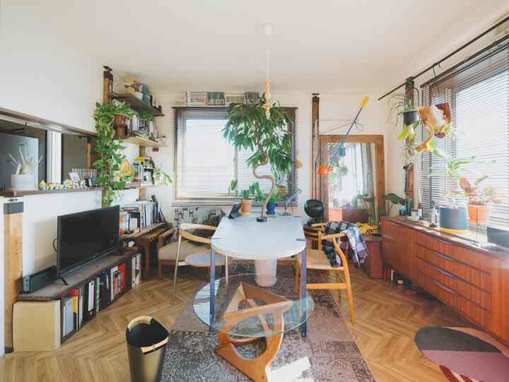 ナチュラルカラーとグリーンが調和したダイニングルーム、個性的な形状のダイニングテーブルとチェアが配置された雰囲気のあるリビング空間