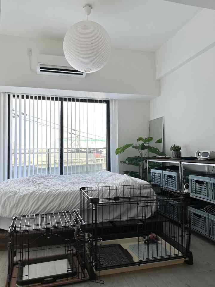 ホワイトトーンのリビング、犬用ケージとベッド、収納棚が配置された清潔感とモダンさのあるインテリア