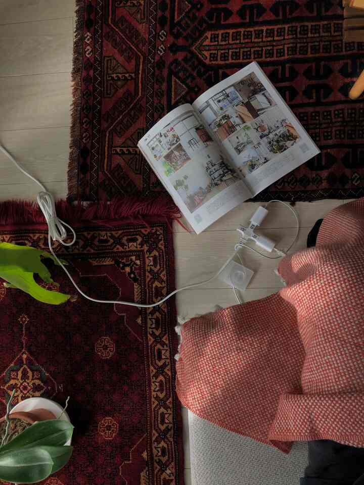 ヴィンテージの赤いラグとナチュラルカラーの床が調和するリビング、ブランケットと植物が配置された雰囲気のある空間