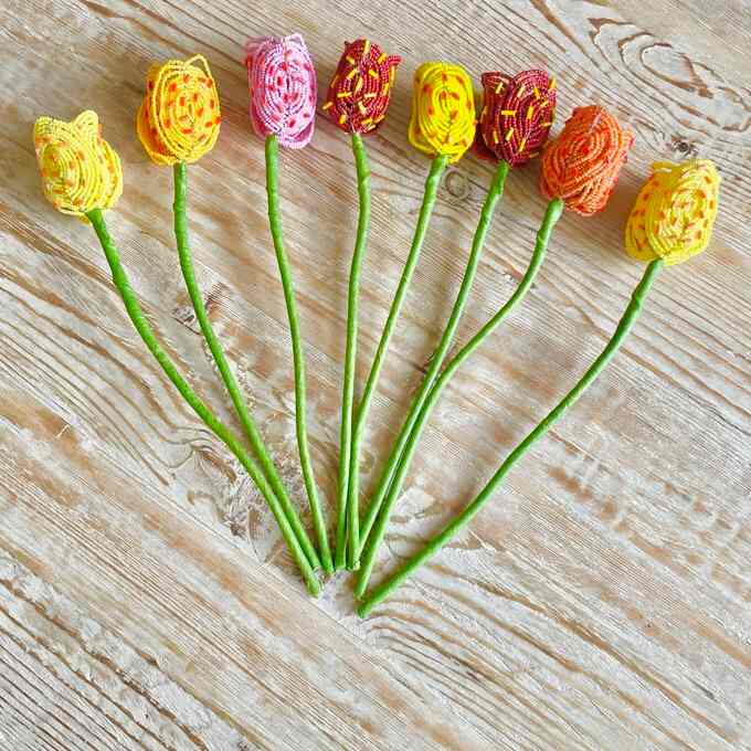 つぶつぶチューリップ ピンク