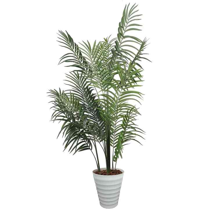 フェイクグリーン アレカヤシ