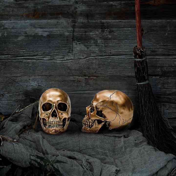 Skull Head Sculpture