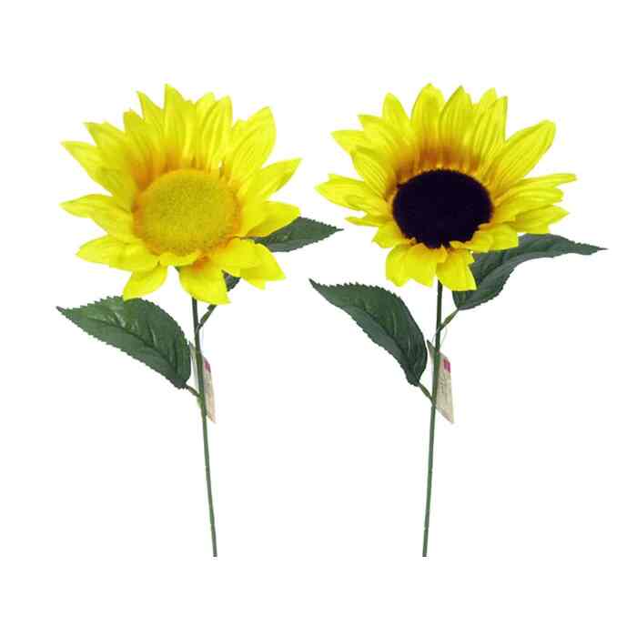 ひまわり １個入