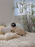 설렘HOUSE님의 프로필 이미지