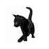 아바타 사진