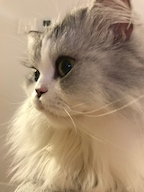 lo_cat님의 프로필 이미지