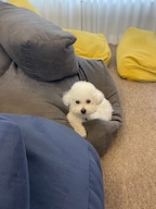 오마이제리님의 프로필 이미지