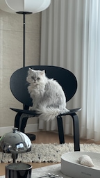 제이히홈님의 프로필 이미지