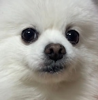 hyhyhyhyhyhy님의 프로필 이미지