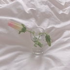 위티홈님의 프로필 이미지