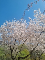 친숙한코알라님의 프로필 이미지