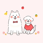 으나짱S님의 프로필 이미지