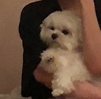 cionuna님의 프로필 이미지