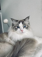 My_sweet_NEKOlife님의 프로필 이미지