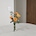 nows_house