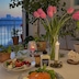 breeze__live