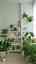 forest_jhome