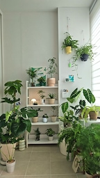 forest_jhome님의 프로필 이미지