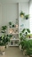 forest_jhome