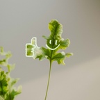 오토PLANT님의 프로필 이미지