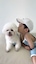 luv___yul_