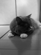 Yookoruuuna님의 프로필 이미지