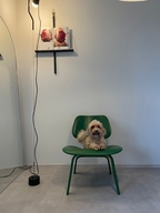 RONY0602님의 프로필 이미지