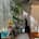 pedro_plant_interior