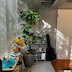 pedro_plant_interior