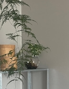 b.ewarm님의 프로필 이미지