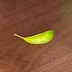 마치EASE