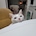 great_jjeong